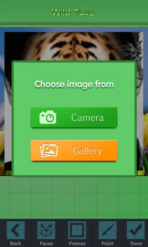 Wild Face截图3