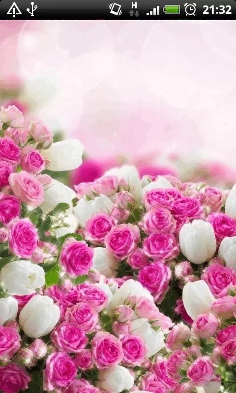 Beautiful Spring Flowers...截图2