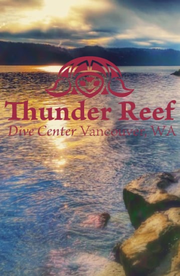 Thunder Reef Divers截图2