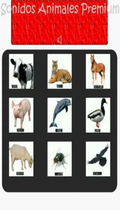 Sonidos Animales Premium截图1