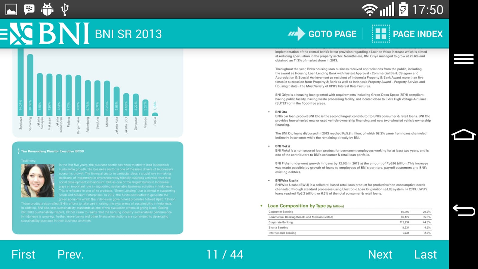 BNI SR 2013 (English)截图3