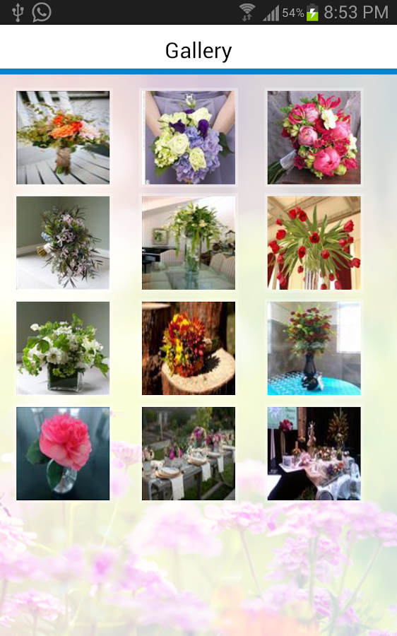 River District Florist截图2