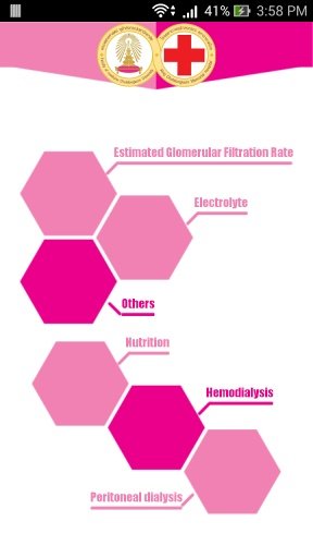 Chula Kidney Calculator截图6