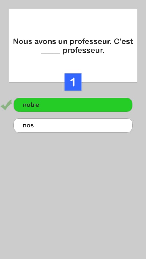 French Test Lite截图1