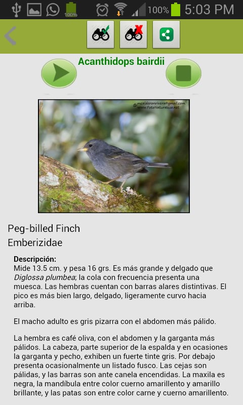 Obsoleta Aves de Costa R...截图1