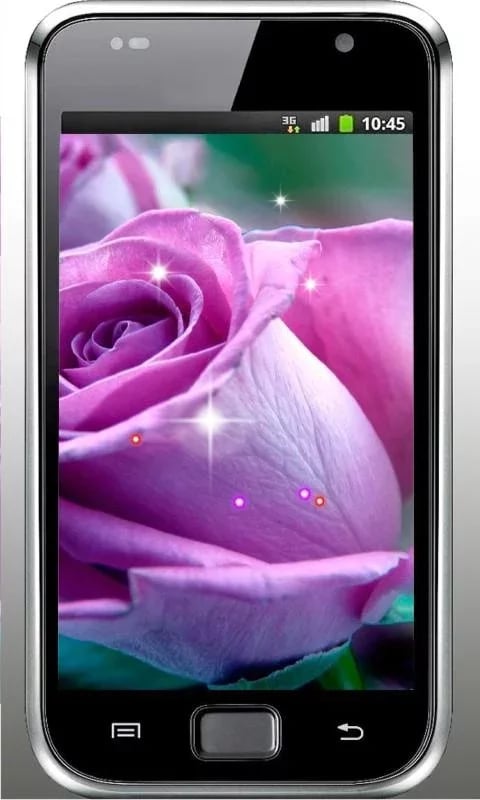 Roses Purple n White HD ...截图1