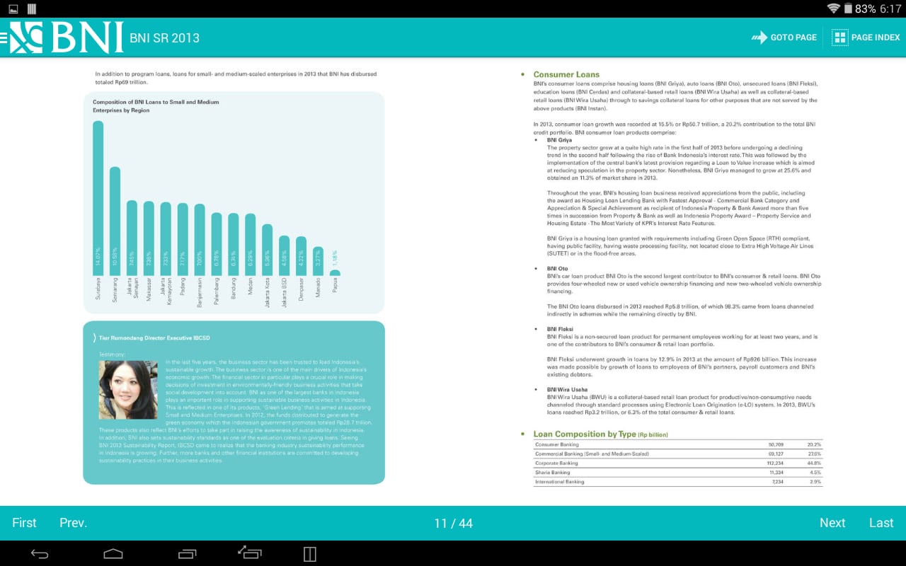 BNI SR 2013 (English)截图6