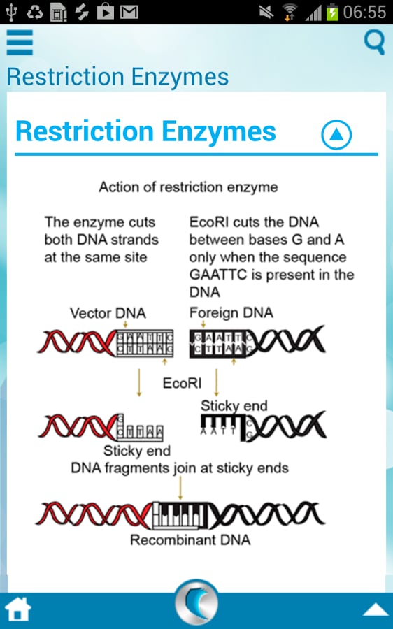 Genetic Engineering 101截图6