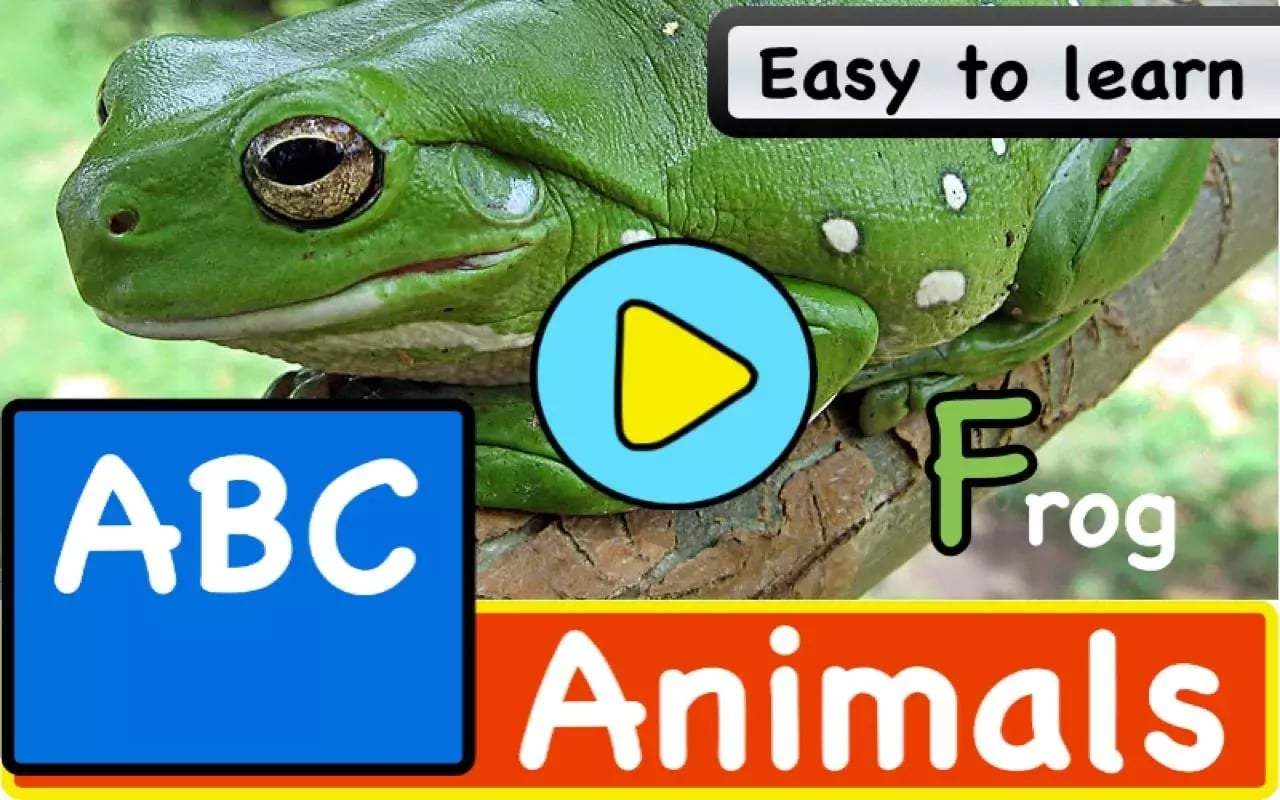 ABC Animals截图3