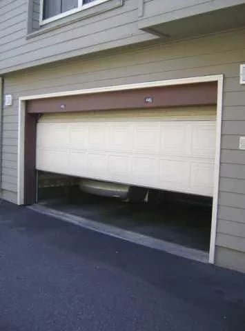 Garage Doors Ideas截图5