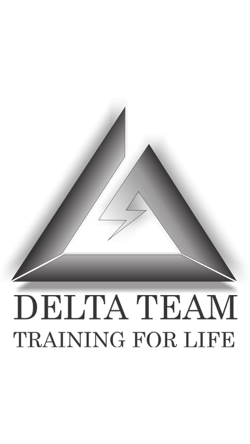 Delta Team截图2