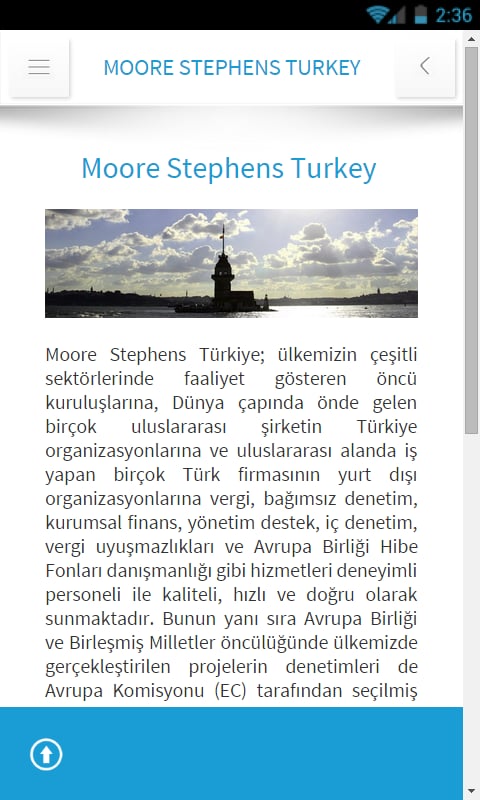 Moore Stephens Turkey截图2