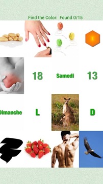 Flashcards French Lesson截图
