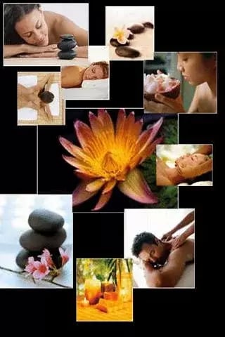 Massage Therapy Guide截图1