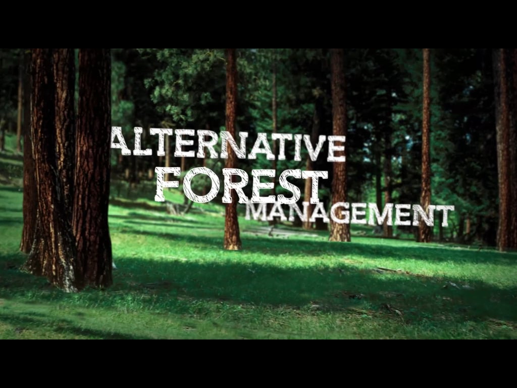 Alternative Forest Manag...截图4