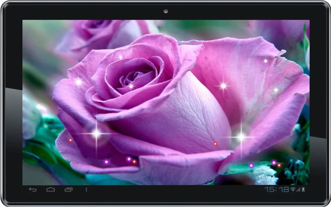 Roses Purple n White HD ...截图5