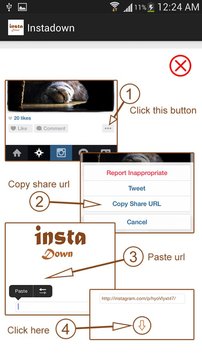 Instagram图片下载Instadown截图