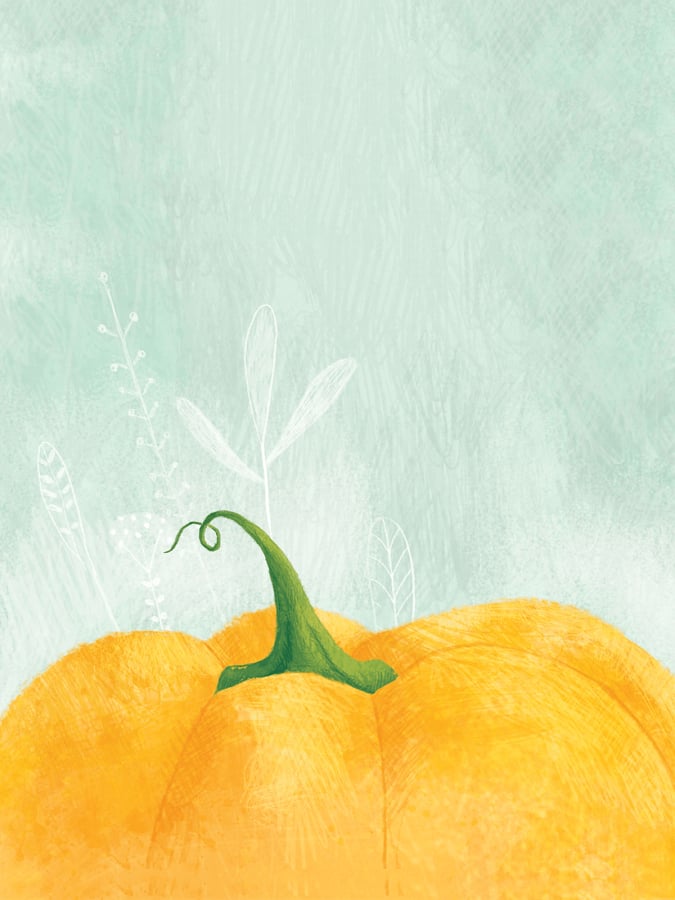 The Pumpkin's Year截图1