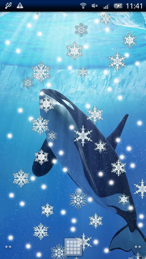 Orca Snow Trial截图1