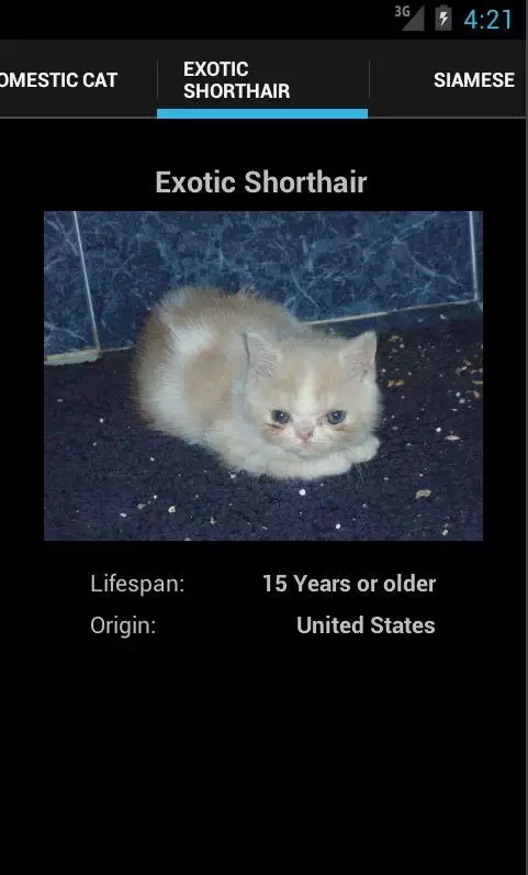 Cat Breeds 101截图2