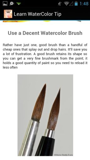 Watercolor Painting Tips!截图1