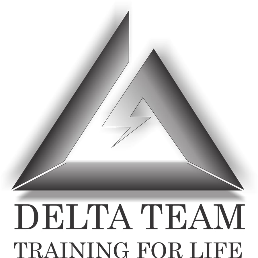 Delta Team截图1