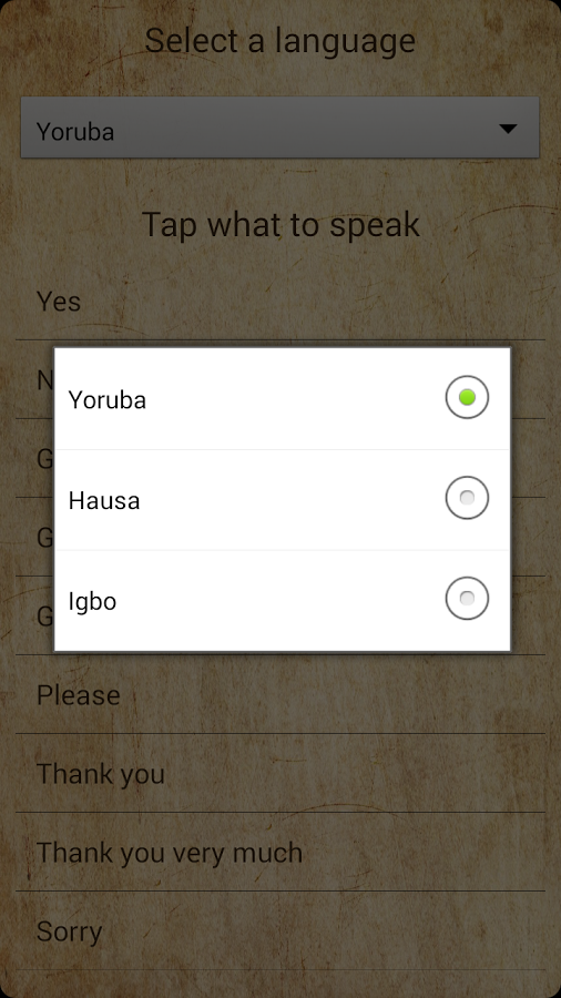 Speak in Nigeria截图7