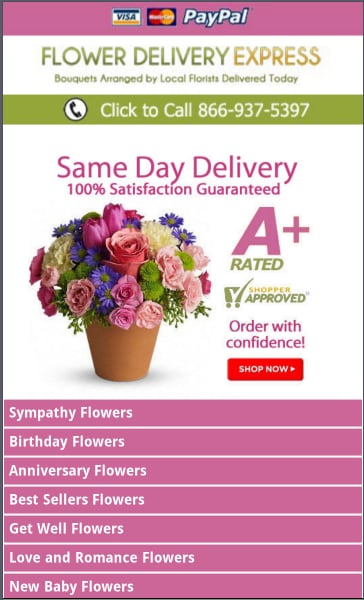 Flower Delivery Express截图1