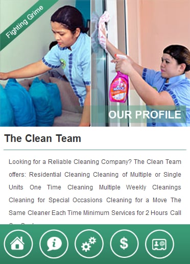 The Clean Team截图4