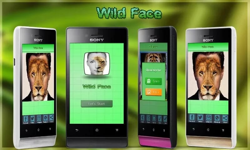 Wild Face截图7