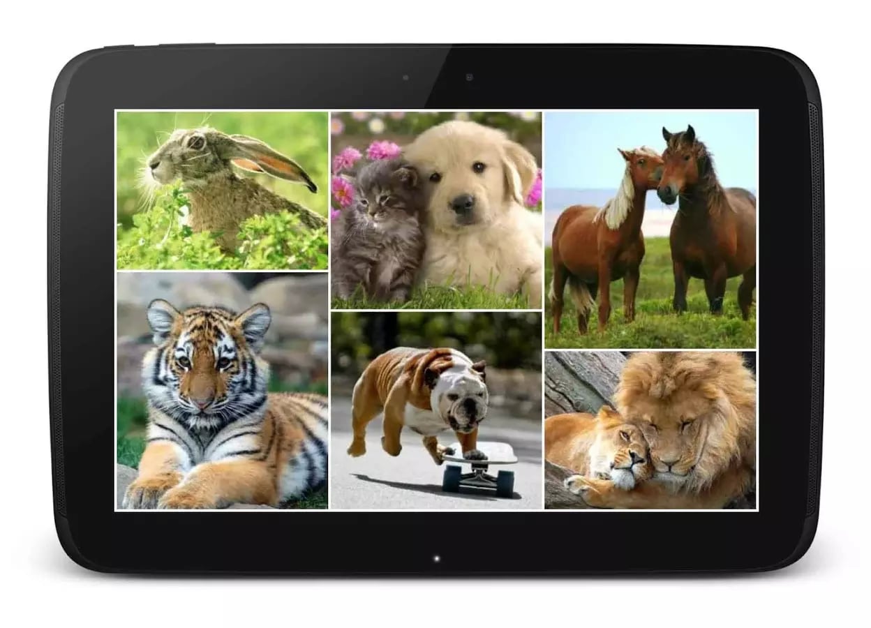 Puzzlera Animals截图1