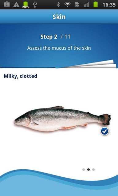 How fresh is your fish?截图2