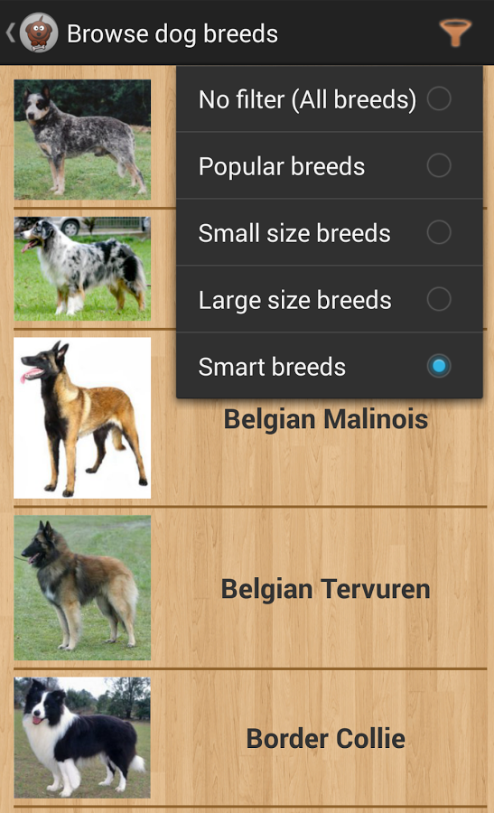 Dog Breeds with Quiz截图4