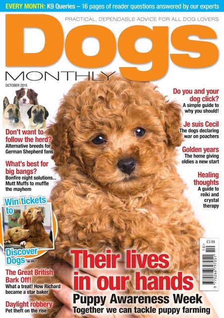 Dogs Monthly Magazine截图5