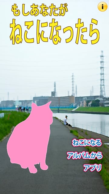 If I turned into a cat...截图2