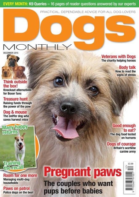 Dogs Monthly Magazine截图10