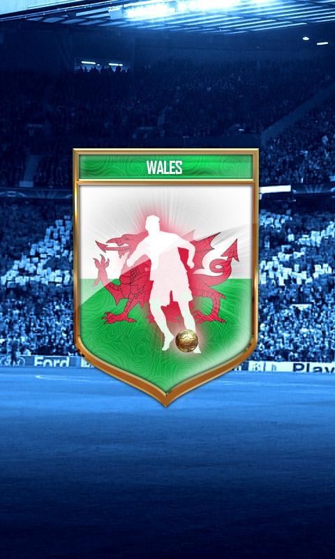 Wales vs England Footbal...截图2