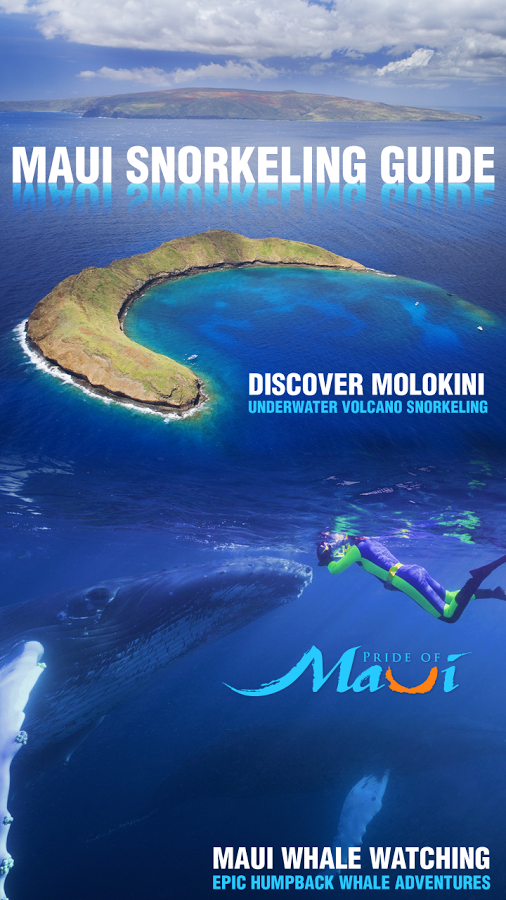 Maui Hawaii Snorkeling Guide截图11