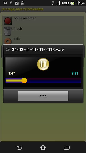 PCM Voice Memo Recorder Pro截图2