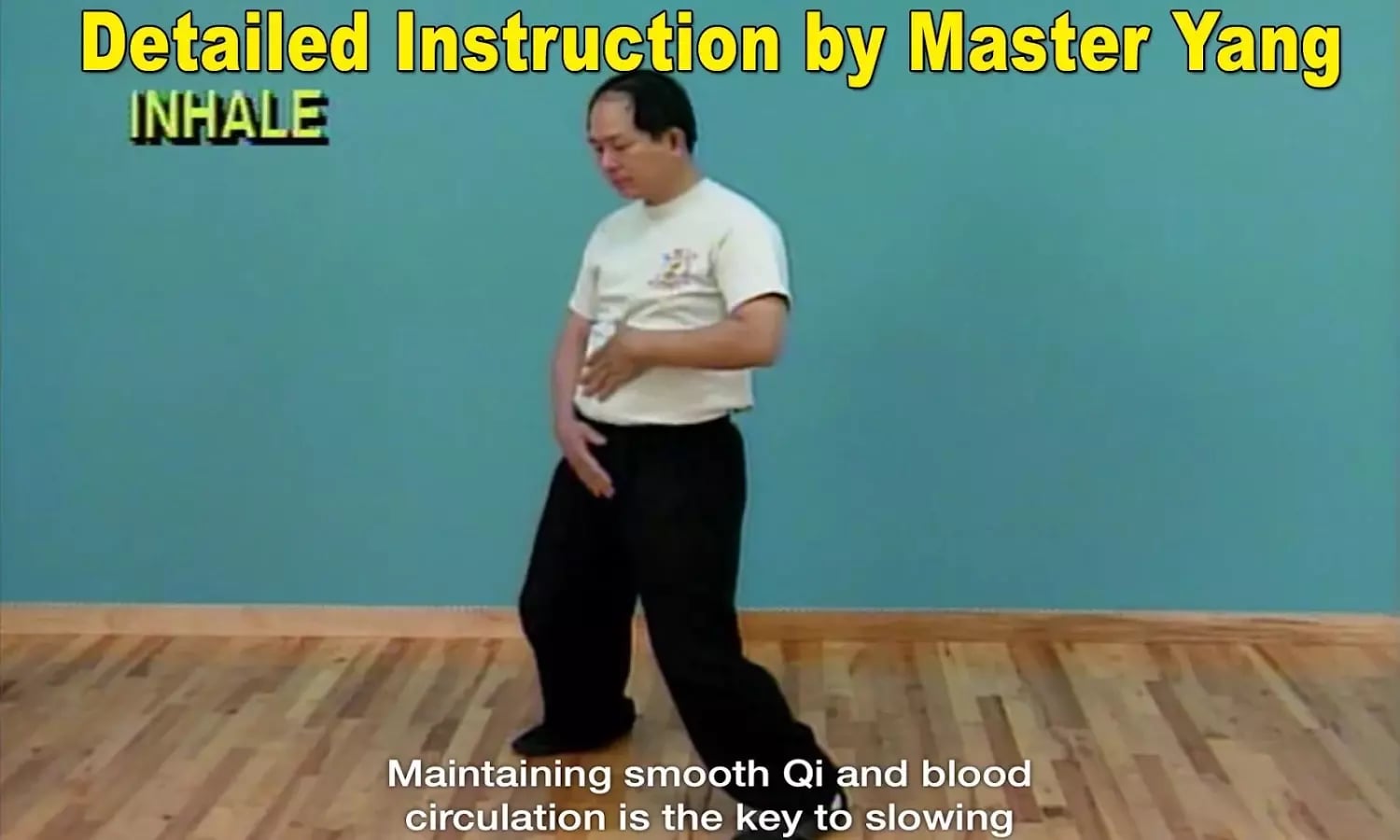 Qigong Massage: Partner截图5