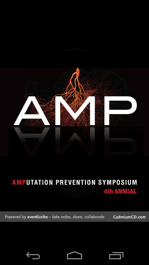 AMP 2014截图3