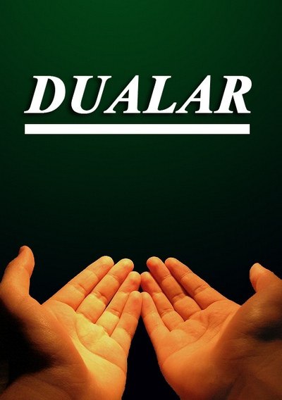 Dualar截图1