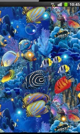 Tropical Fishes Cool HQ LWP截图1