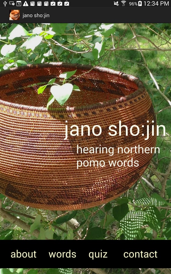 jano sho:jin - Northern ...截图2