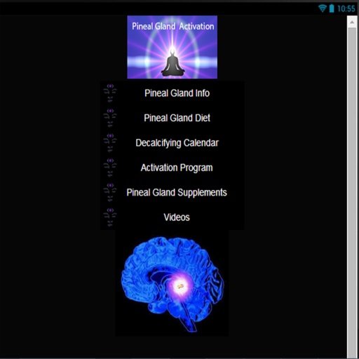 pineal gland activation截图1