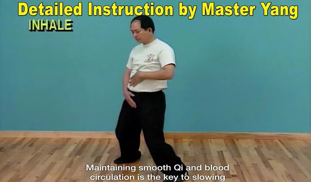 Qigong Massage: Partner截图10