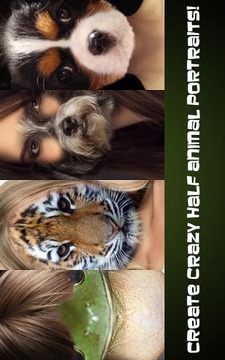 Animal Face Photo截图