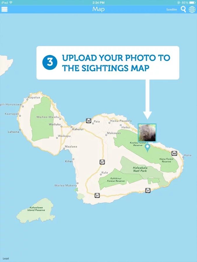 Maui Hawaii Snorkeling Guide截图9