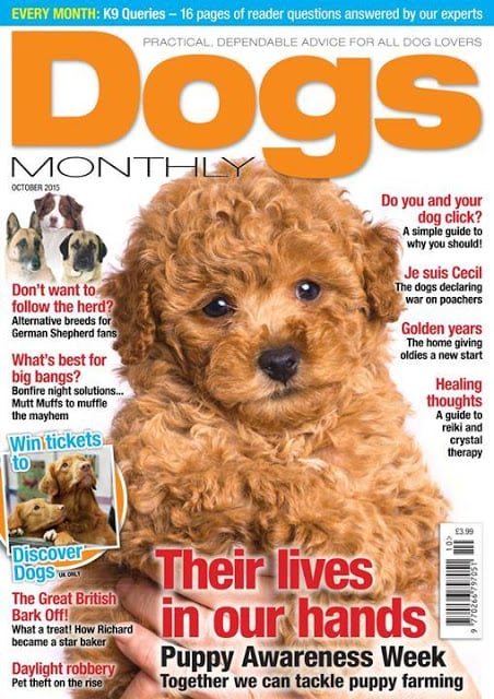 Dogs Monthly Magazine截图3