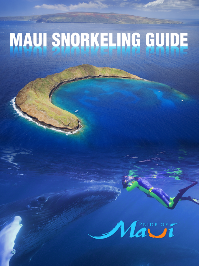 Maui Hawaii Snorkeling Guide截图6